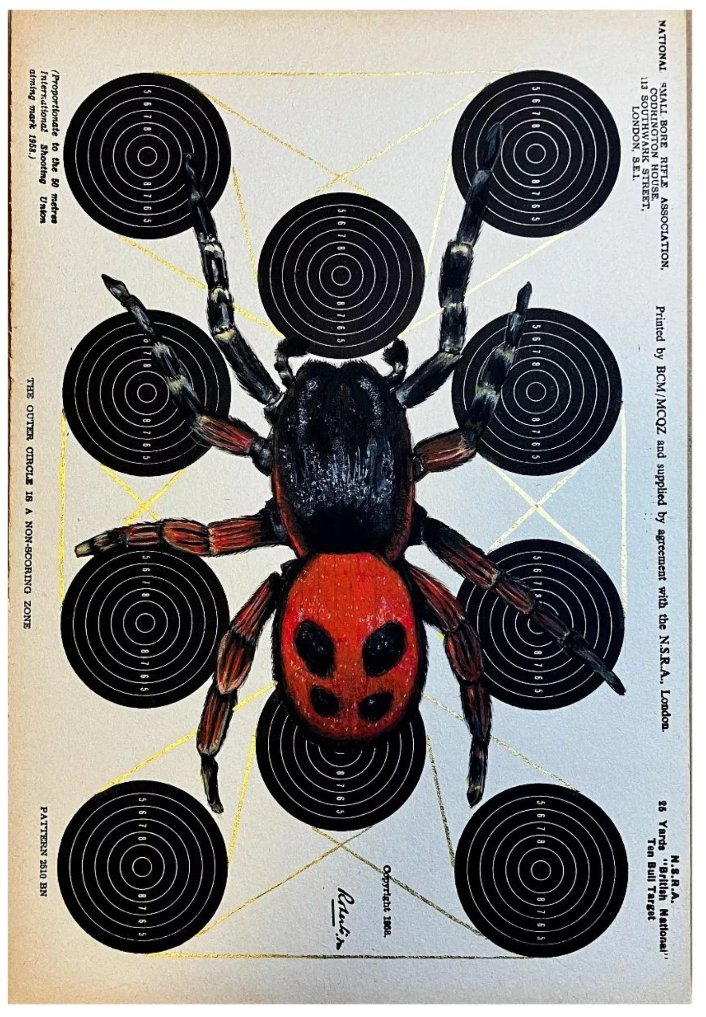 Ladybird Spider on Vintage Target